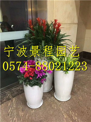 組合擺放5